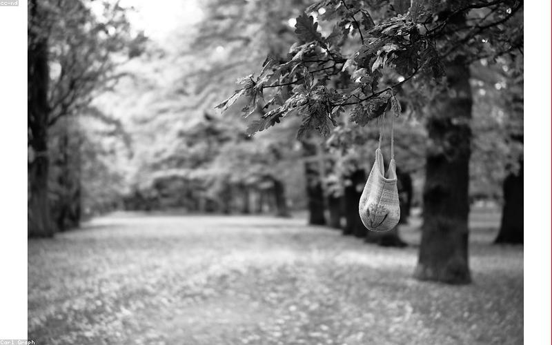 100天养生计划 · 第20天：周末户外快走30分钟
